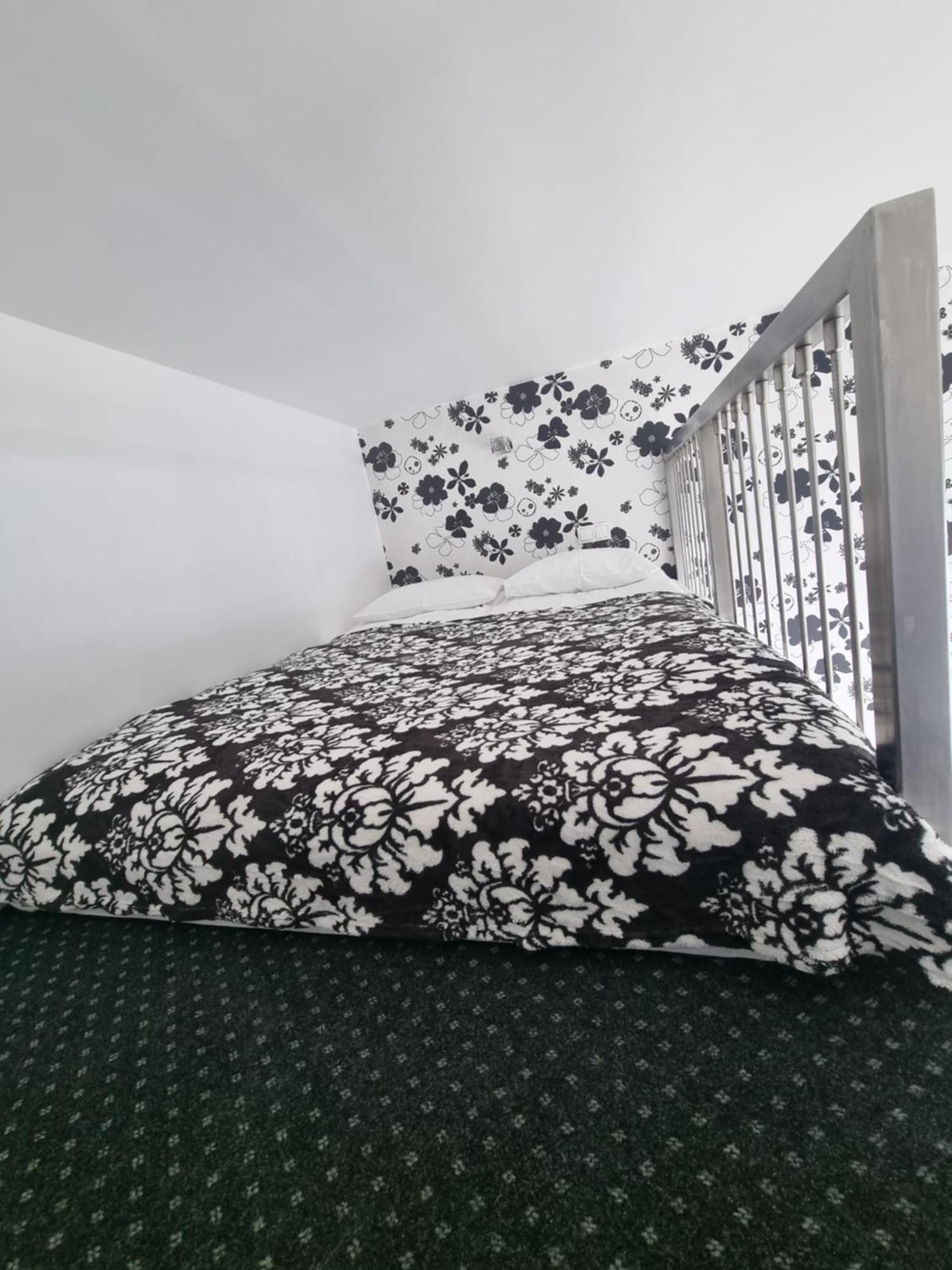 זקופאנה Viva Maria Apartament מראה חיצוני תמונה